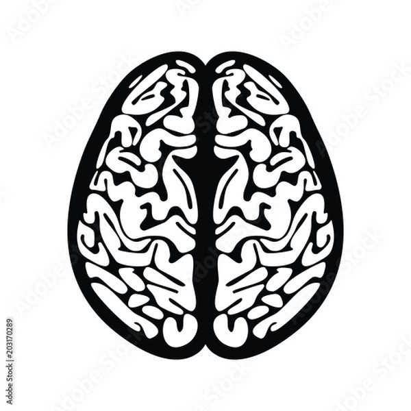Fototapeta Human Brain Vector