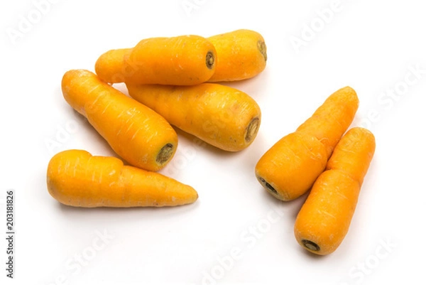 Fototapeta 金美人参