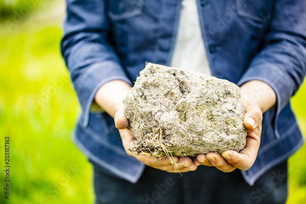 Fototapeta 人が畑で大きな土の塊を手で持つ