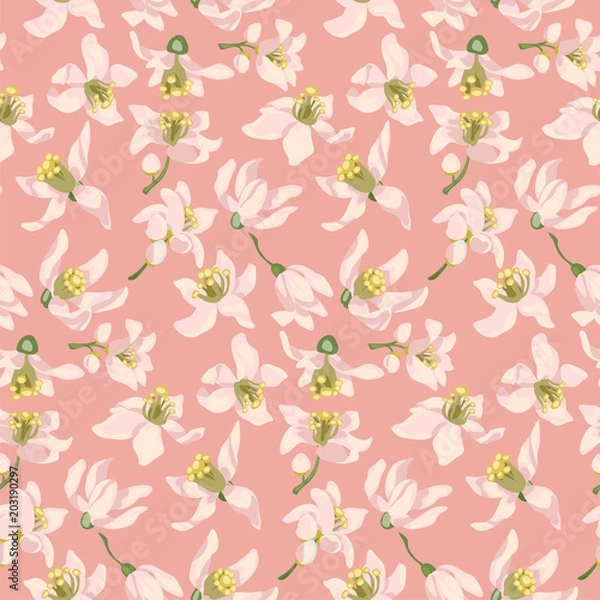 Obraz Seamless pattern with citrus tree flowers of different types such as an orange tree, a lemon tree or a lime tree.