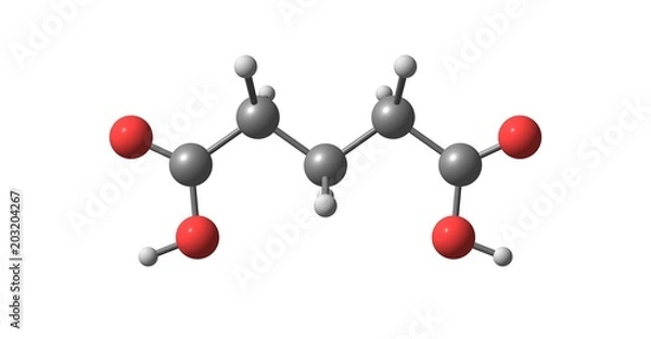 Obraz Glutaric acid molecular structure isolated on white