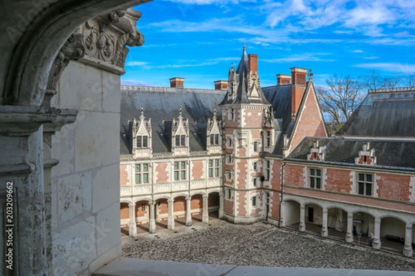 Obraz Chateau blois