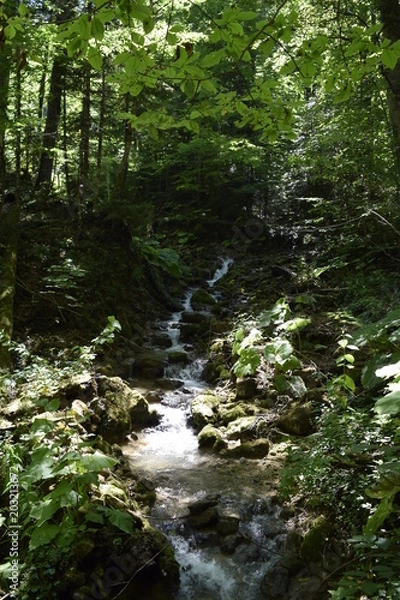 Fototapeta горный ручей