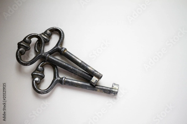 Fototapeta three old vintage key on white background. Antique rusty keys on white background