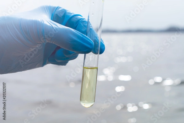 Fototapeta Hand in glove collects water in a test tube. Concept - water purity analysis, ecology. Water testing for infections