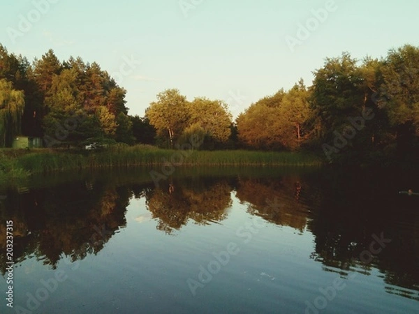 Fototapeta Reflection of trees in the lake