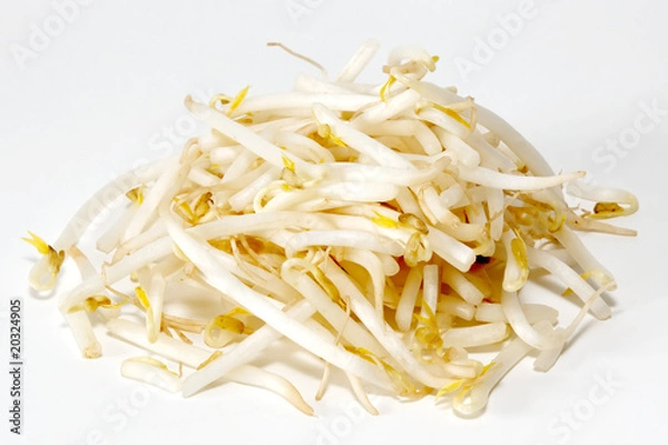 Fototapeta Sojasprossen