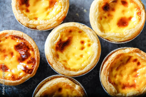 Obraz delicious egg tart