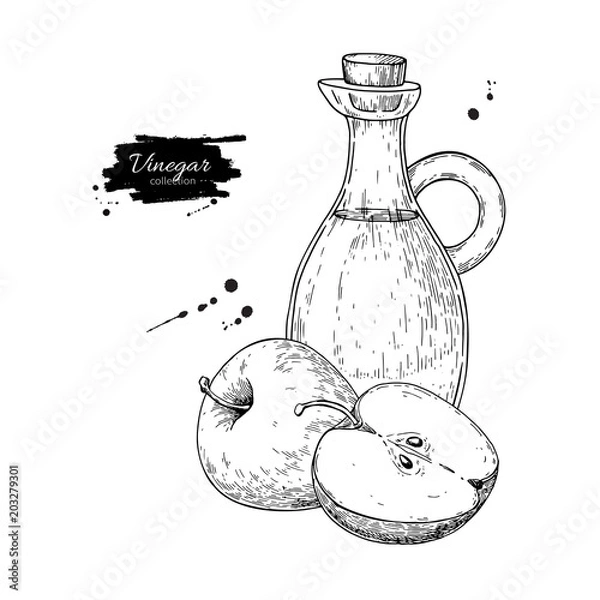 Obraz Rysunek wektor ocet jabłkowy. Ręcznie rysowane ilustracji. Szkło bo