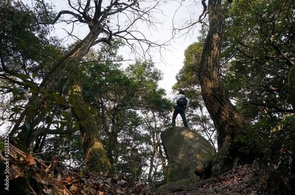 Fototapeta 自然の風景