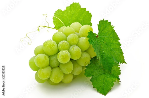 Fototapeta grape