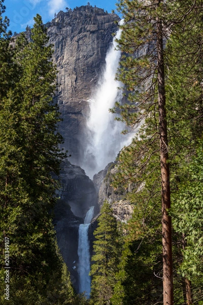 Fototapeta Yosemite