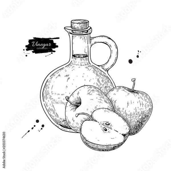 Fototapeta Apple vinegar vector drawing.  Hand drawn illustration. Glass bo