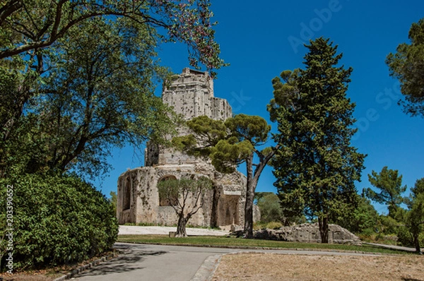 Fototapeta View of the Tour Magne (Magna tower) with blue sky, in the high part of the Gardens of the Fountain, in the city center of Nimes. Located in the Gard department, Occitanie region in southern France