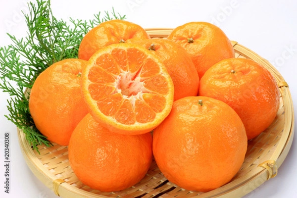 Fototapeta ponkan orange