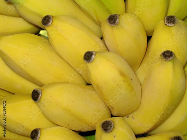Obraz bananes