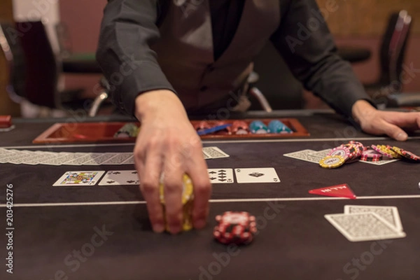 Obraz カジノイメージ