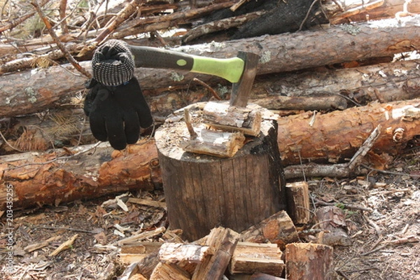 Obraz Топор дровосека в чурке.