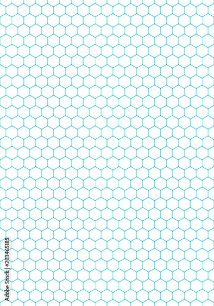 Obraz Seamless Pattern Hexagon Shapes Texture