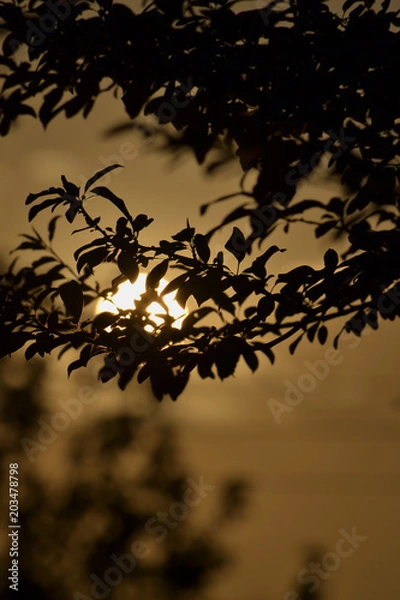 Fototapeta Atardecer