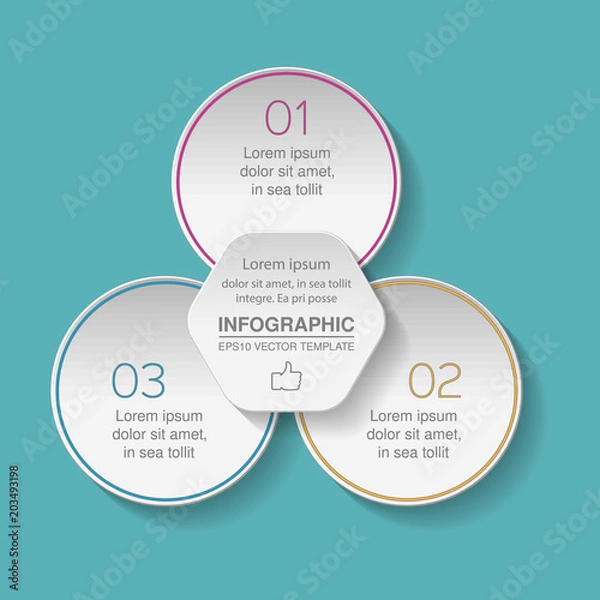 Fototapeta Vector infographic template for diagram, graph, presentation, chart, business concept with 3 options.