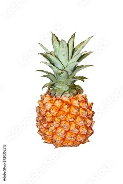 Obraz ripe fresh pinapple isolate