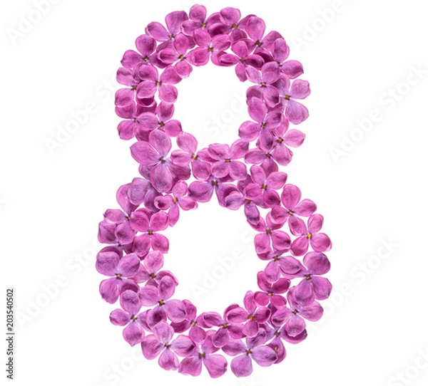 Fototapeta Arabic numeral 8, eight, from flowers of lilac, isolated on white background