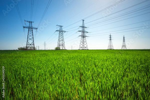 Fototapeta Linie wysokiego napięcia i słupy energetyczne w zielonym krajobrazie rolniczym z błękitnym niebem w słoneczny dzień.