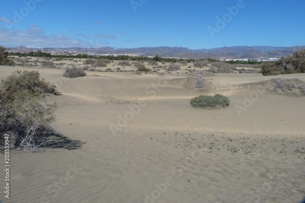 Fototapeta Sanddünen von Maspalomas auf Gran Canaria.