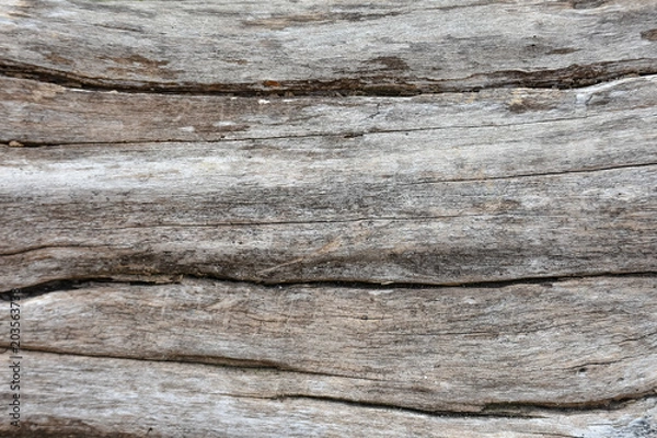 Obraz Wood effect Used as a background