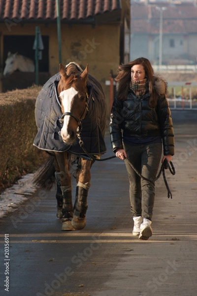 Obraz Amico cavallo 14