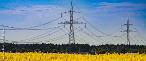 Obraz Hochspannungsleitung über Rapsfeld