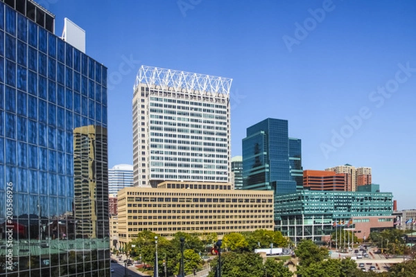 Obraz Baltimore Downtown Skyline