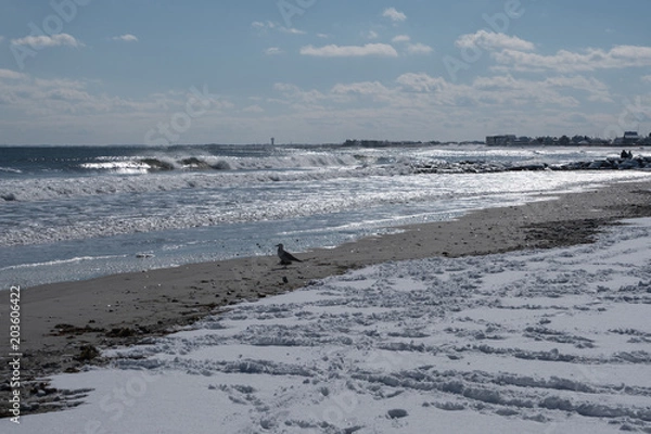 Obraz Winter Beach