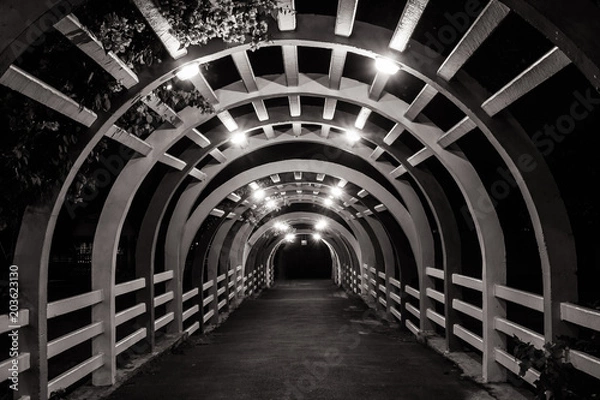 Fototapeta Close up architecture of wooden tunnel in outdoor garden at night time. (Selective focus)