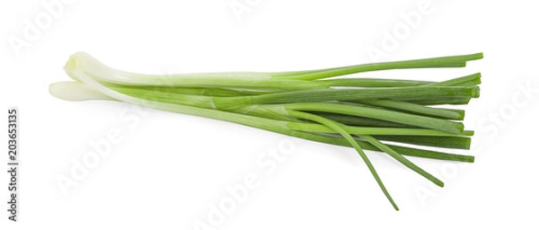 Obraz Green onion leaf vegetable fresh