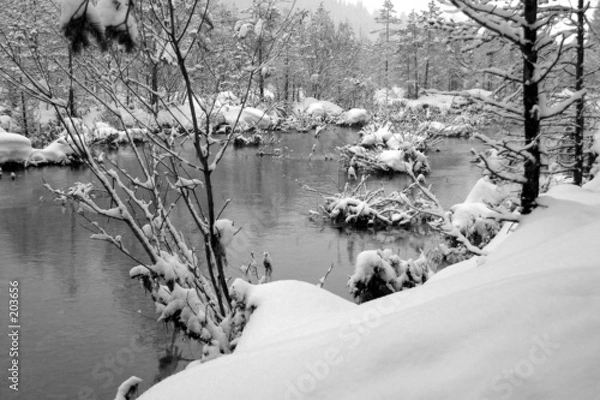 Fototapeta winter an der isar