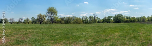 Obraz Summer landscape with clouds on the blue sky
