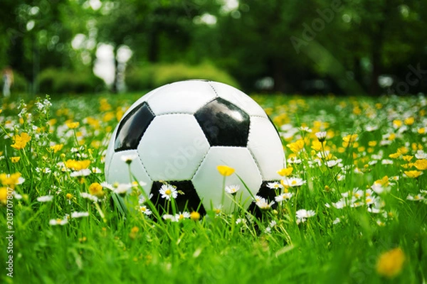 Fototapeta Fussball schwarz weiss liegt in der Wiese mit Blumen im Frühling