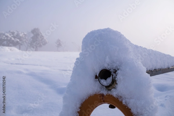 Fototapeta 降り積もる雪