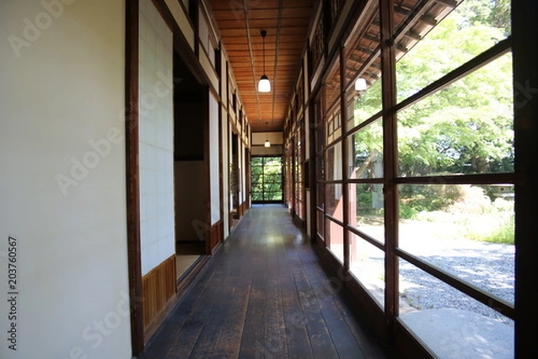 Fototapeta 和式建築（廊下、板の間、ガラス引き戸など）