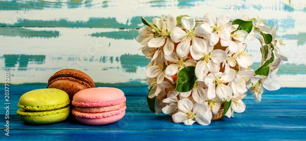 Fototapeta Multicolored macaroons and cup decorated with white flowers of apple trees on a blue wooden background.