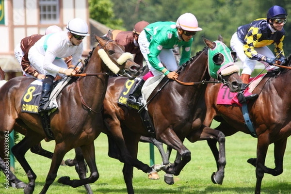 Obraz Courses hippiques