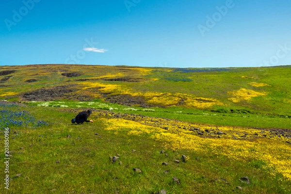 Obraz North Table Mountain