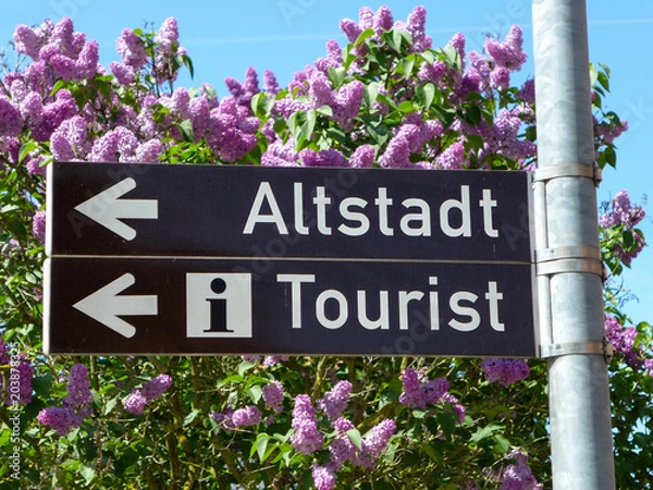 Obraz Hinweisschild Information für Touristen