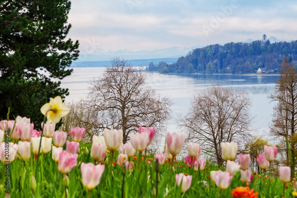 Obraz Flower Island Mainau