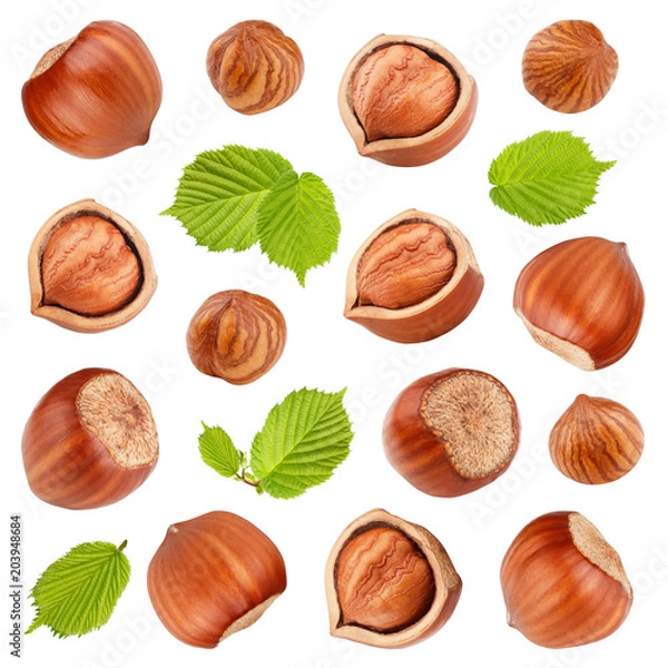 Obraz Hazelnuts with leaves isolated on white background. Collection