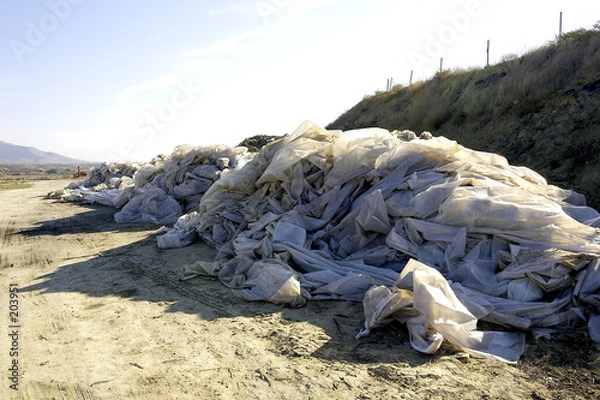 Obraz plastico invernadero