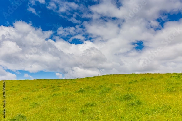 Obraz 丘と白い雲