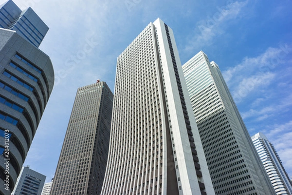 Fototapeta 東京西新宿　副都心の高層ビル群